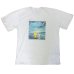 画像6: スヌーピー 3L 4L 大きいサイズ メンズ Tシャツ 半袖 ピクチャー 風景画 チャーリーブラウン 柄 薄手 / bia405