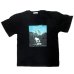 画像2: スヌーピー 3L 大きいサイズ メンズ Tシャツ 半袖 薄手 ピクチャー 風景画 柄 / bia410 (2)