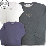 スヌーピー アメカジ トレーナー メンズ 長袖 裏起毛 兄弟 柄 /bia684