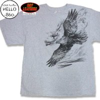 ホットレザーズ メンズ 服 半袖 Tシャツ 飛翔 鷹 柄 バイカーファッション 大きいサイズ 黒 クリックポスト送料無料 即納 /rfa094
