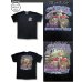画像3: ホットレザーズ イベントT スタージス メンズ 半袖 Tシャツ バイク ハリウッド壁画 柄 服 黒 クリックポスト送料無料 即納 /rfa109 (3)