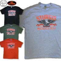 ホットレザーズ イベントT スタージス メンズ 半袖 Tシャツ 鷹 風景写真 柄 服 大きいサイズ 黒 灰 緑 橙 クリックポスト送料無料 即納 /rfa119