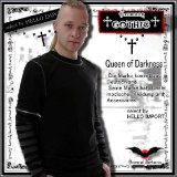 (クイーンオブダークネス) QUEEN OF DARKNESS ボーダー袖 フェイクレイヤード ロンＴ カットソー メンズ ゴシック rfa172