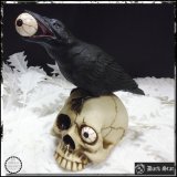(ダークスター) DARK STAR ゴシック インテリア雑貨 闇黒カラスに目玉喰われる骸骨 ドクロ 髑髏 スカル
