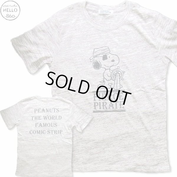 画像1: クリックポスト送料無料/ 生産終了 再無 スヌーピー 半袖 Tシャツ メンズ 先染め ネップ ゼブラ FIERCE PIRATE 恐ろしい海賊 柄 アメカジ /bia235 (1)