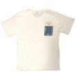 画像6: スヌーピー 3L 4L 大きいサイズ メンズ Tシャツ 半袖 薄手 総柄 プリント 胸ポケット付き ポケットにイン 柄 / bia418 (6)