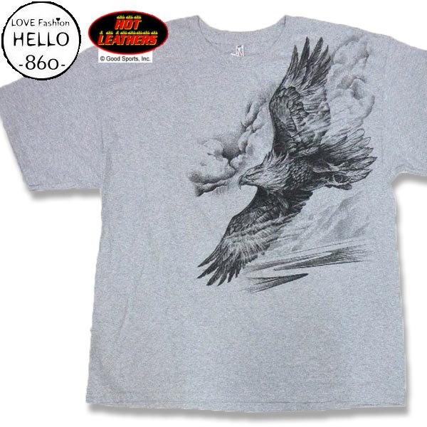 画像1: ホットレザーズ メンズ 服 半袖 Tシャツ 飛翔 鷹 柄 バイカーファッション 大きいサイズ 黒 クリックポスト送料無料 即納 /rfa094 (1)