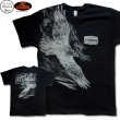 画像1: ホットレザーズ イベントT スタージス メンズ 半袖 Tシャツ ビッグプリント 鷹 柄 服 黒 クリックポスト送料無料 即納 /rfa116 (1)
