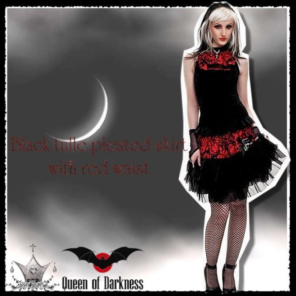 画像1: HP価格 (クイーンオブダークネス) QUEEN OF DARKNESS ゴシック 深紅花柄 黒色 ティーアドの艶美 スカート wosk068 黒x赤 (1)
